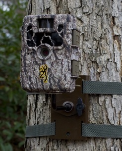 Tree Mount Holding a Browning