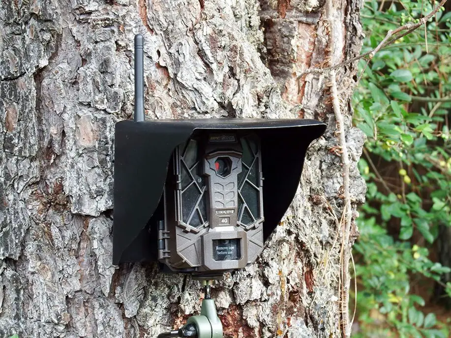 Weather Guard for a Trail Camera